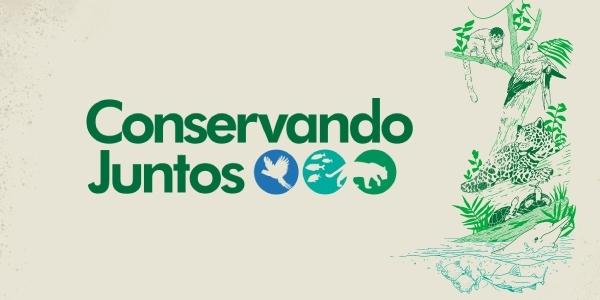 Conservando o Passado: A Importância da‌ Proteção de Itens ⁢Colecionáveis